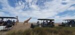 Thali Thali Game Lodge