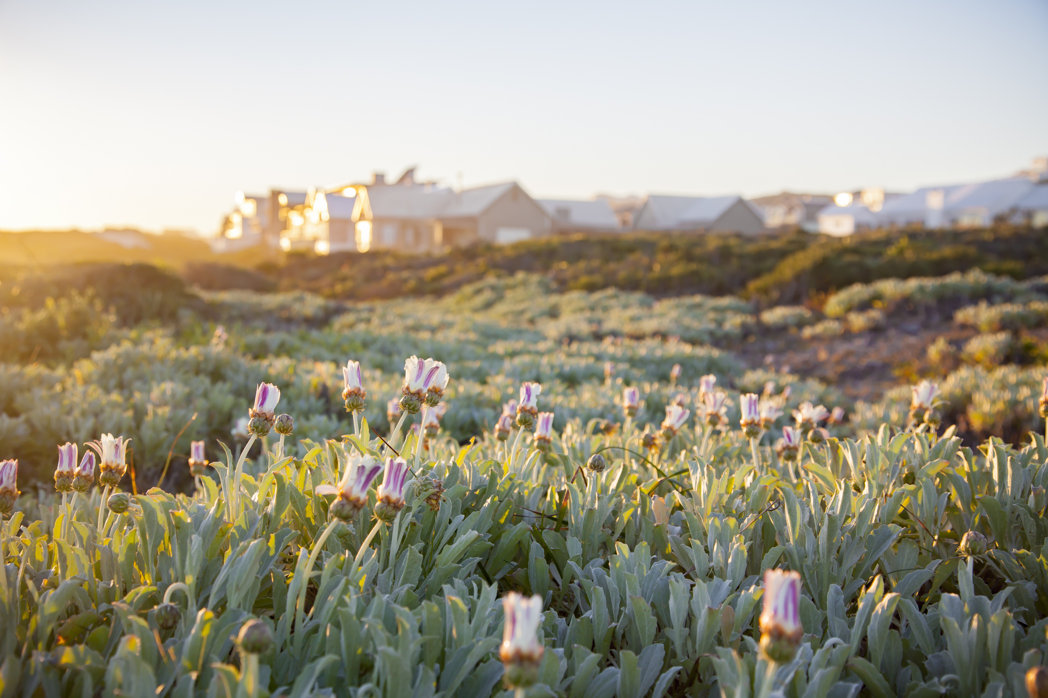 Seeff Yzerfontein Seeff Yzerfontein
